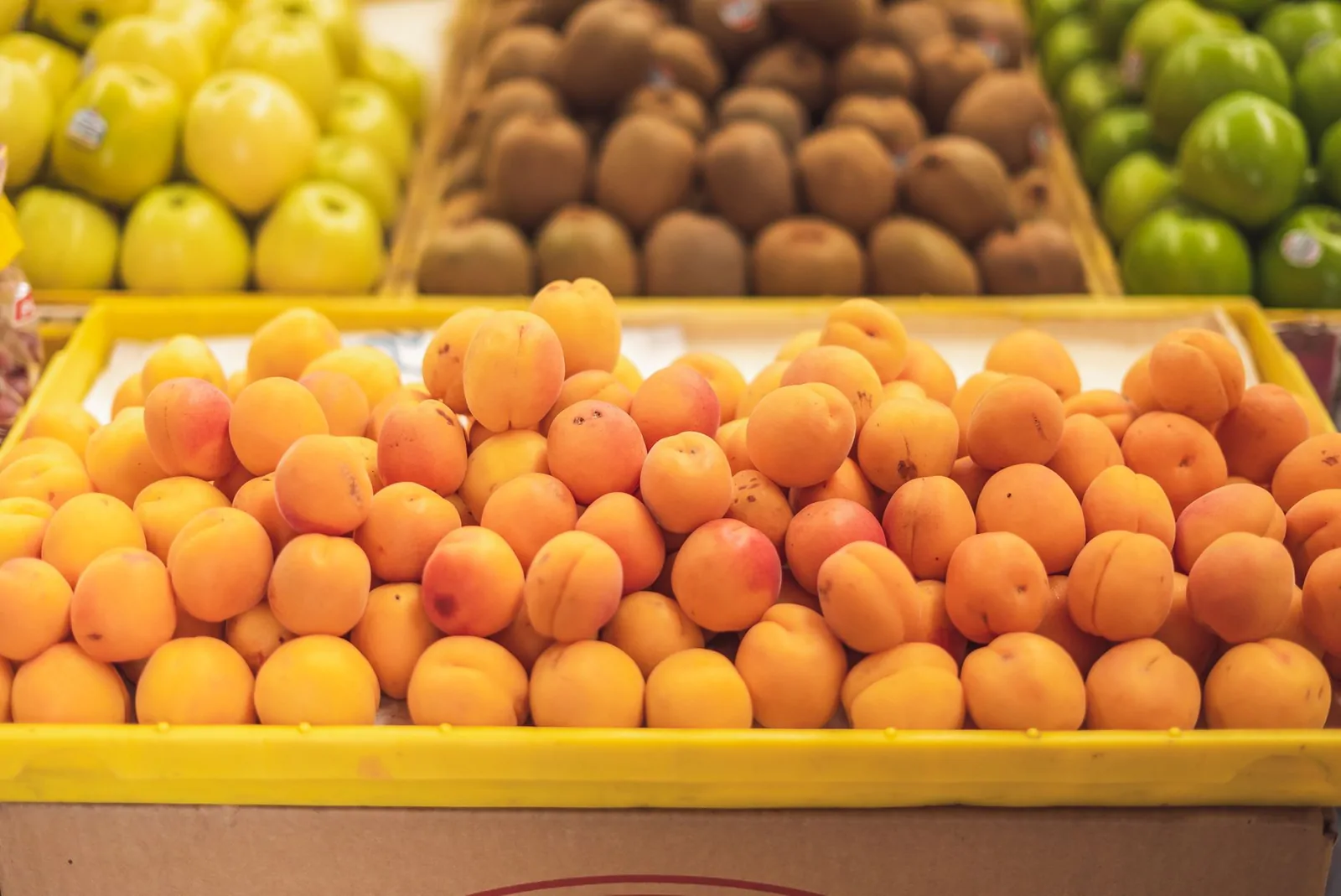Discover the Excellence of Tunahan Kayısı: Malatya's Finest Apricots
